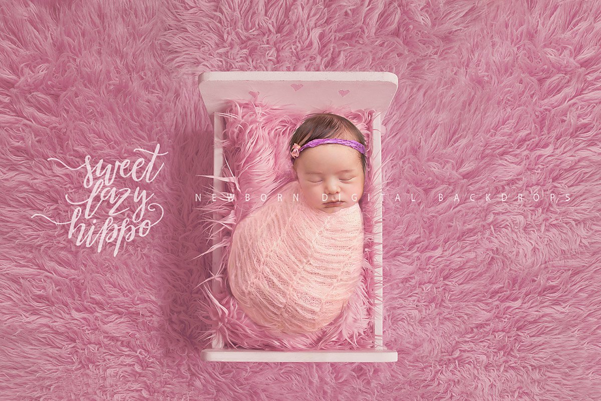 Newborn Digital Backdrop for Girlscover image.