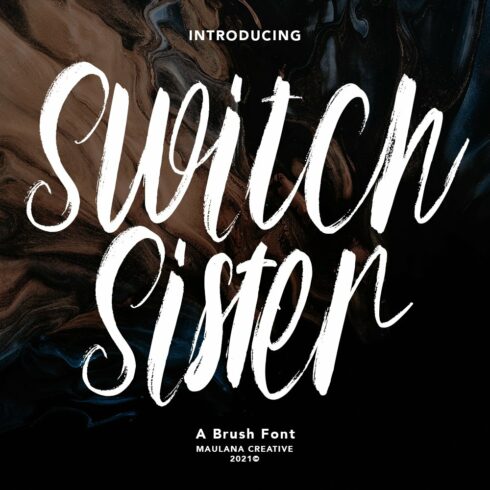 Switch Sister Brush Font cover image.