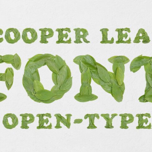 Cooper Leaf Font cover image.