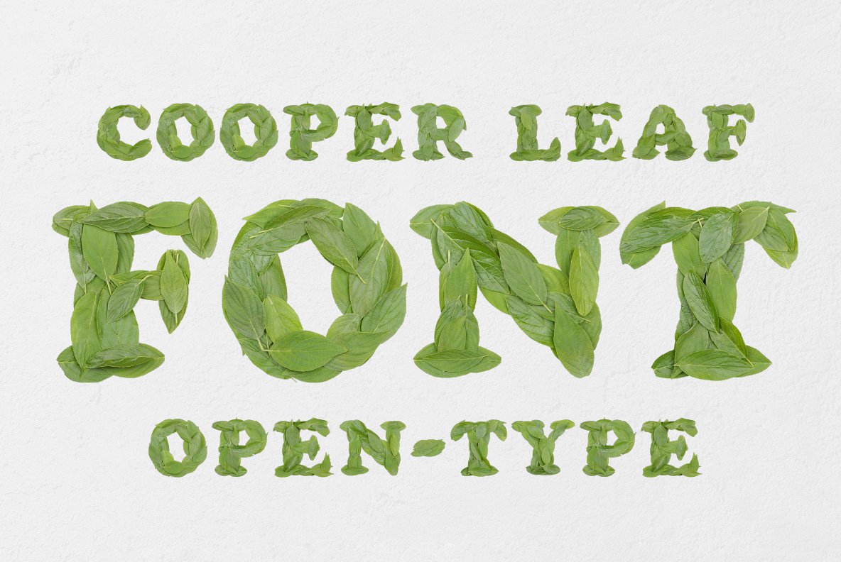 Cooper Leaf Font cover image.