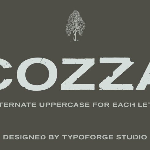 Cozza Letraset – now 9$ cover image.