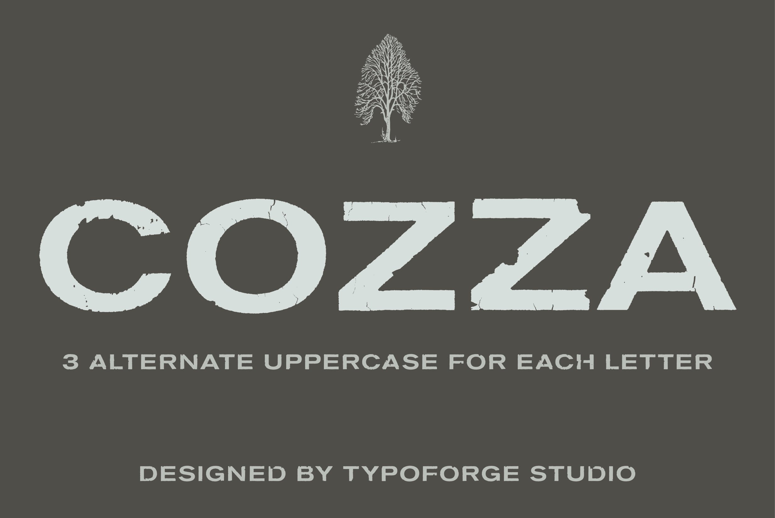 Cozza Letraset – now 9$ cover image.