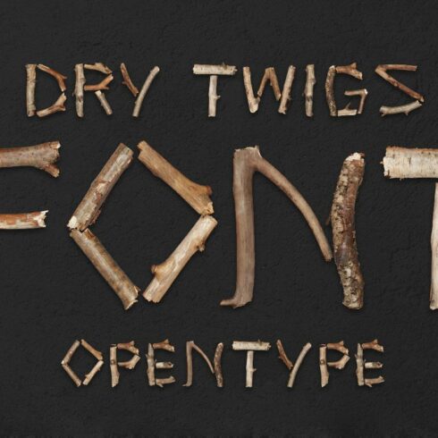 Dry Twigs Font cover image.