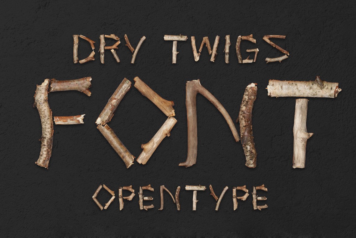 Dry Twigs Font cover image.