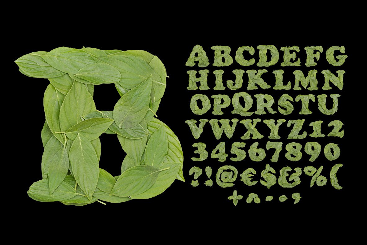 Cooper Leaf Font preview image.