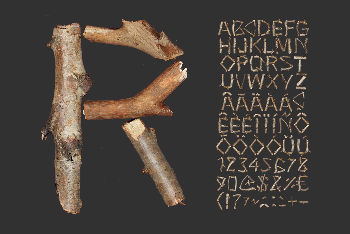 Dry Twigs Font preview image.