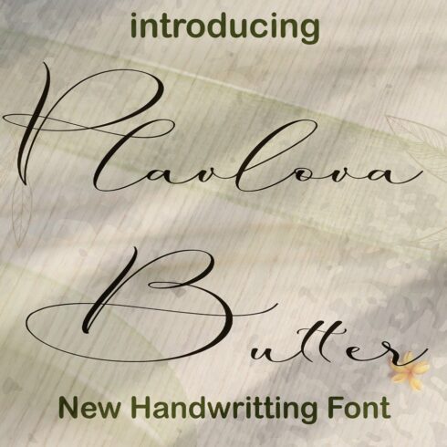 Plavlova Butter Font Script cover image.