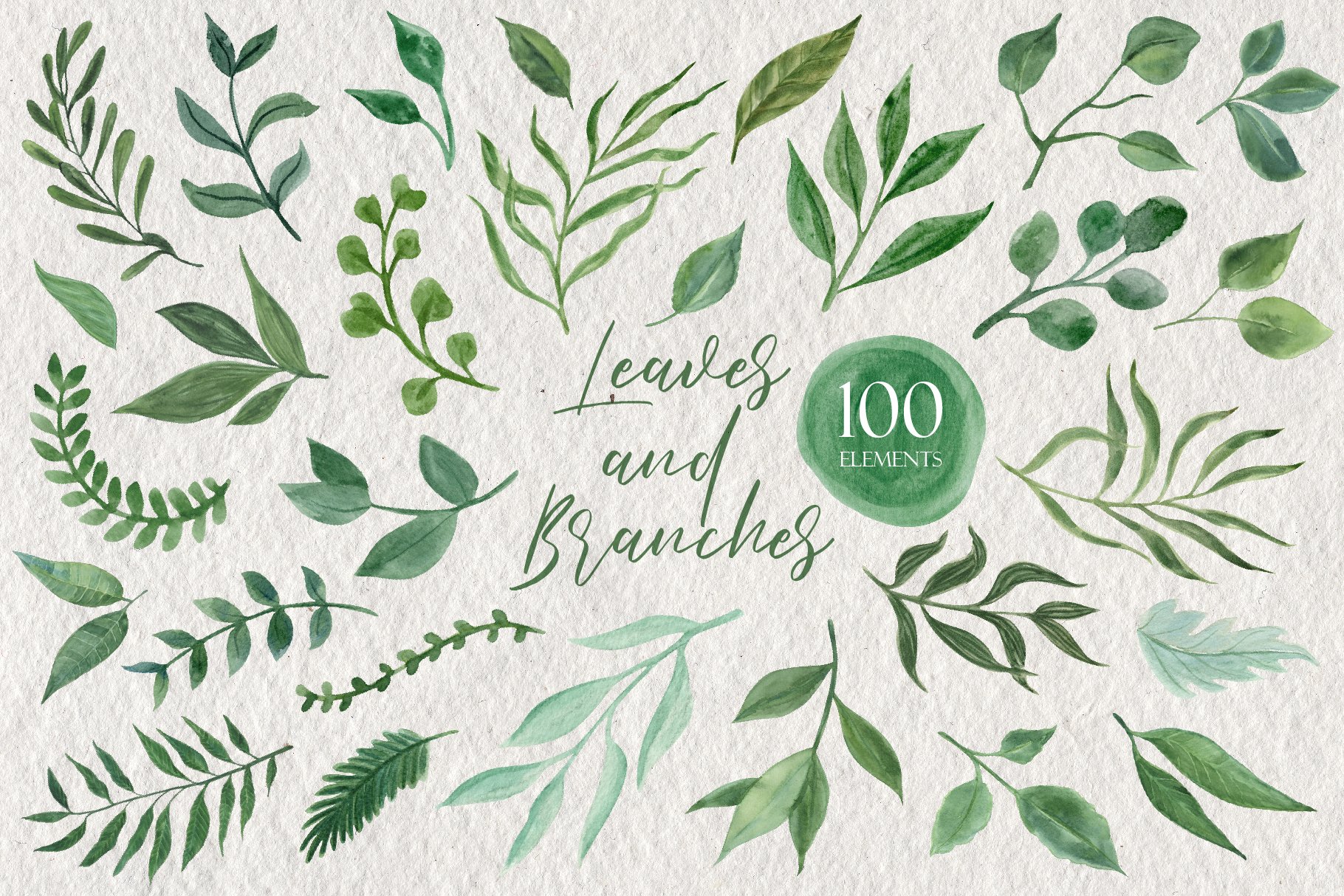 Leaves and Branches cover image.