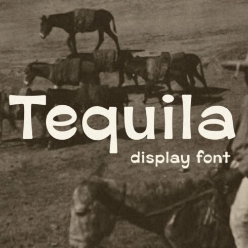 Tequila cover image.