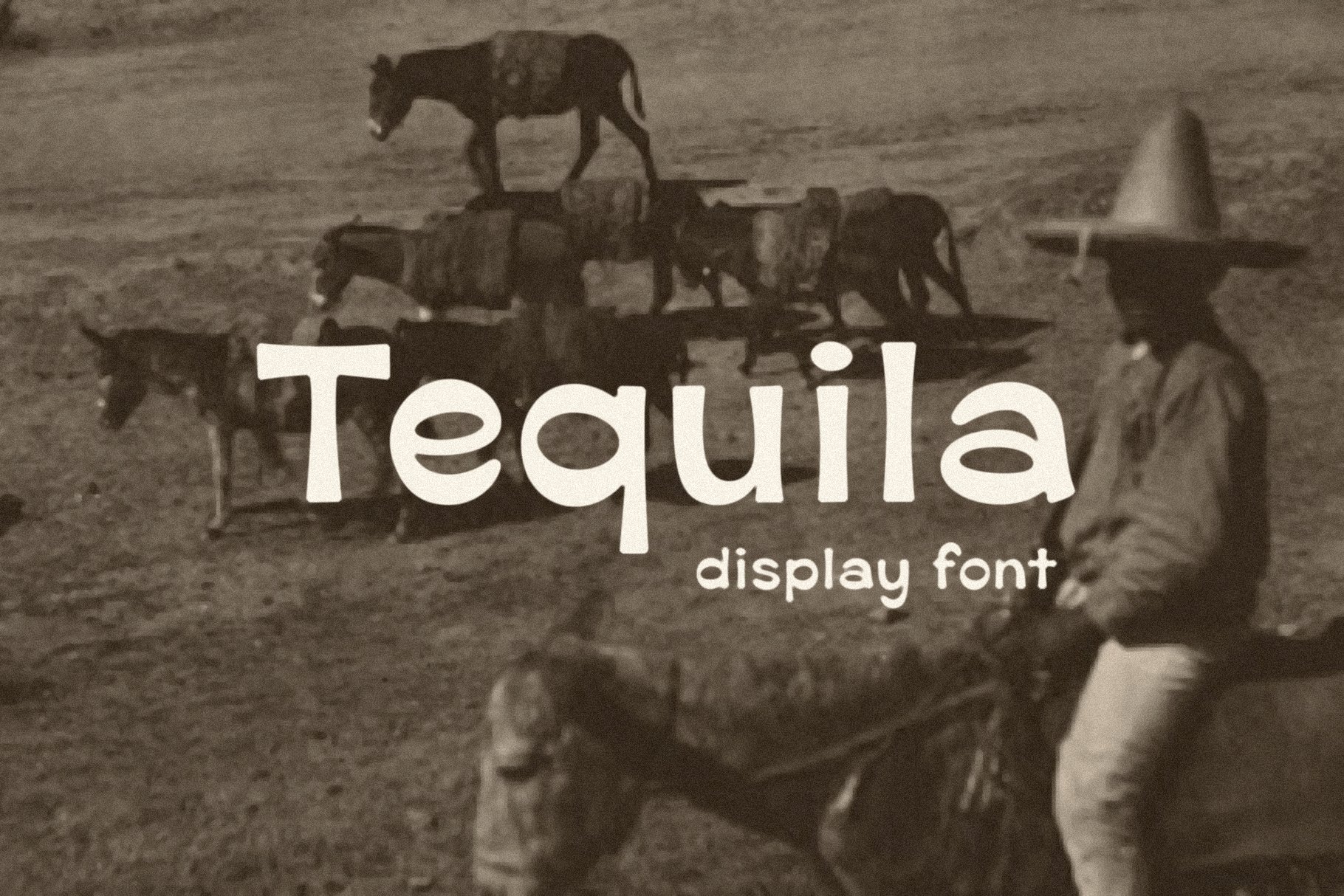 Tequila cover image.