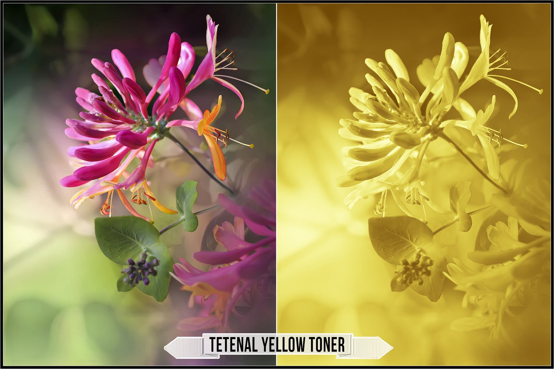 tetenal yellow toner 651