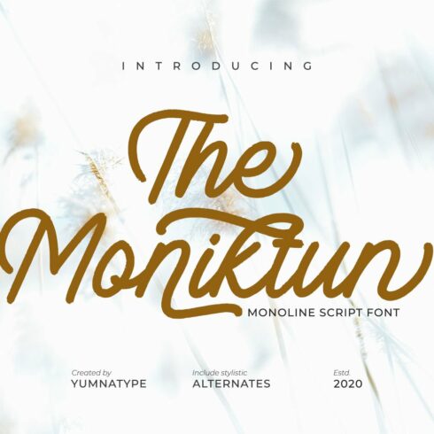 The Moniktun cover image.