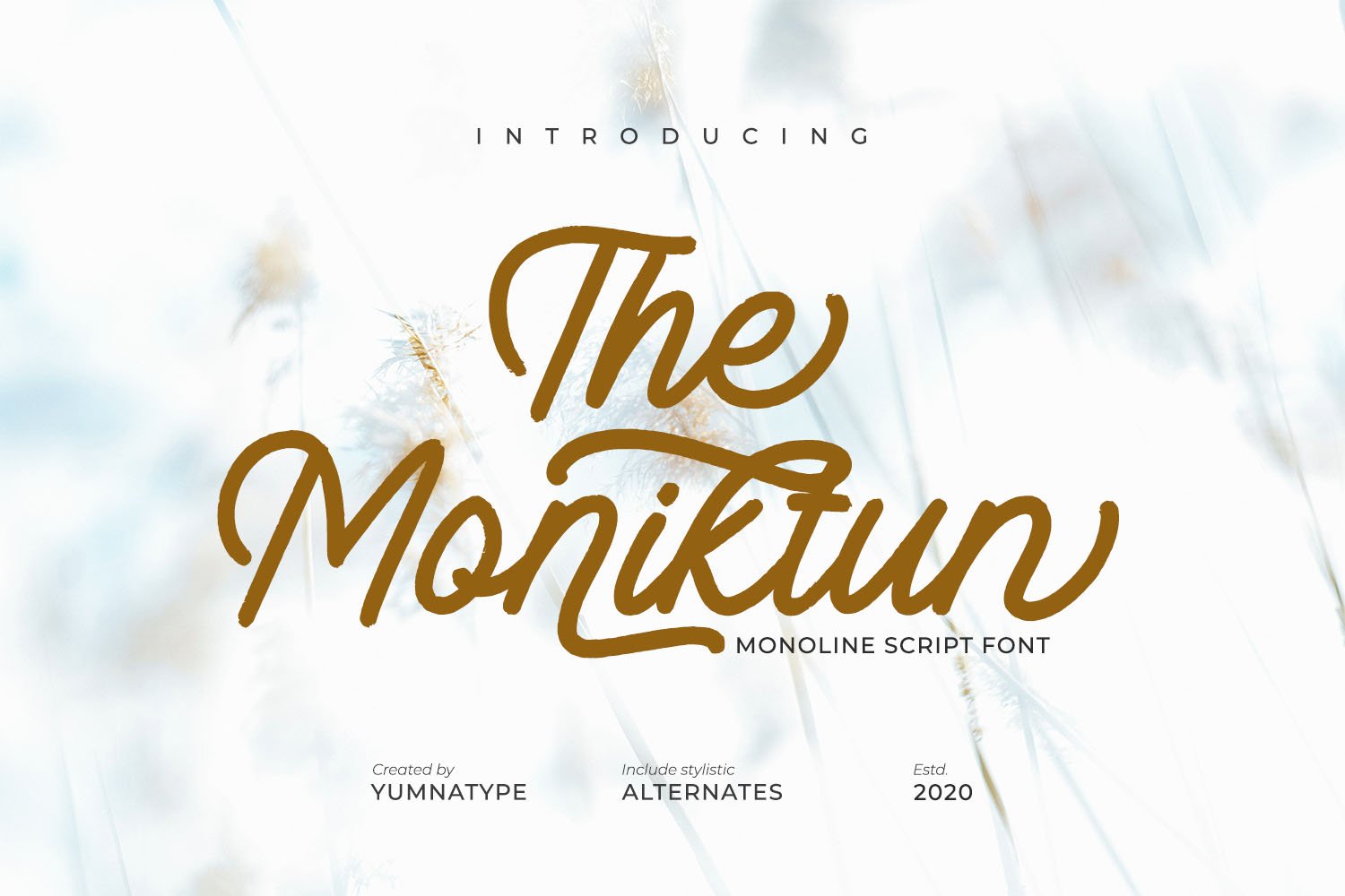 The Moniktun cover image.