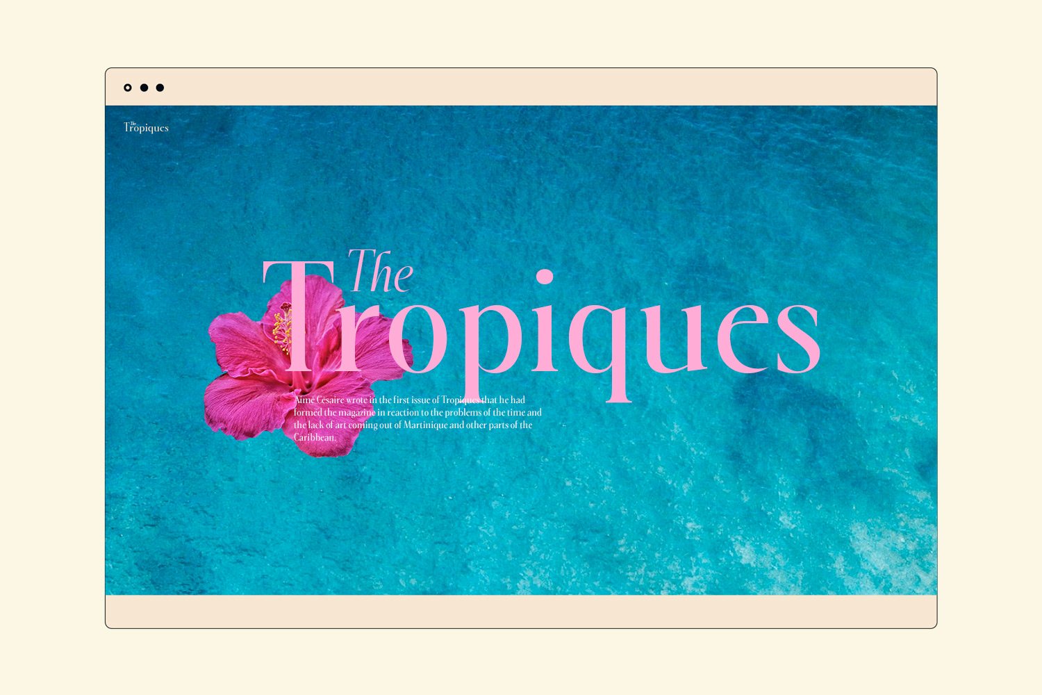 the tropiquez serif font fashion style branding 262