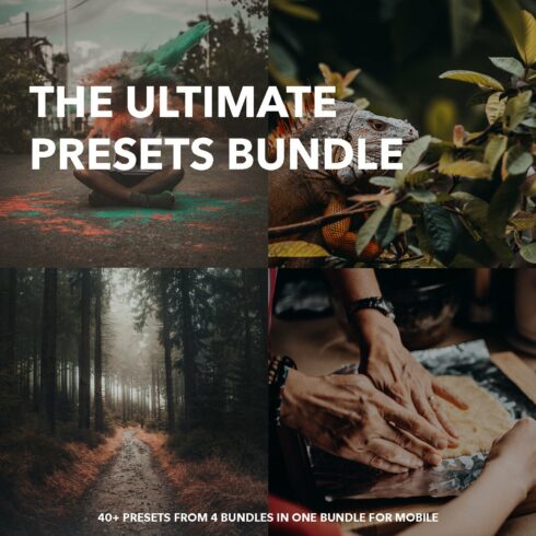 ULTIMATE 119+LIGHTROOM PRESETS BUNDLcover image.