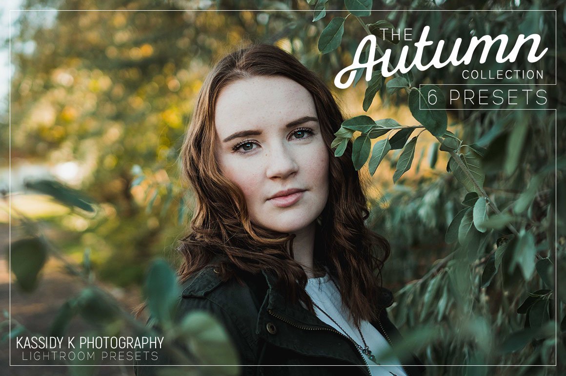 The Autumn Collection | 6 LR Presetscover image.