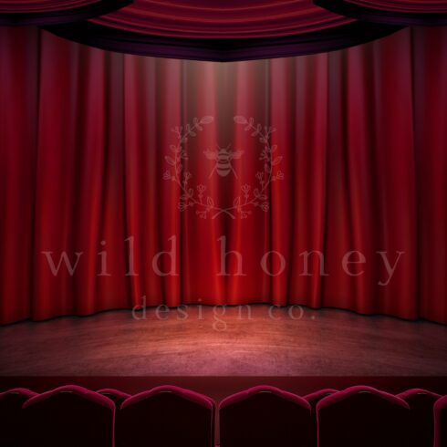 Theatre Stage Digital Backdropcover image.
