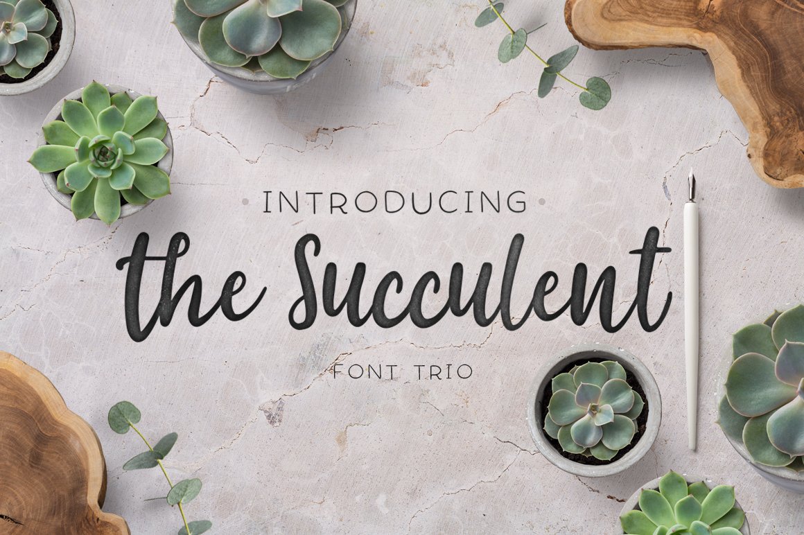 The succulent - font trio! cover image.