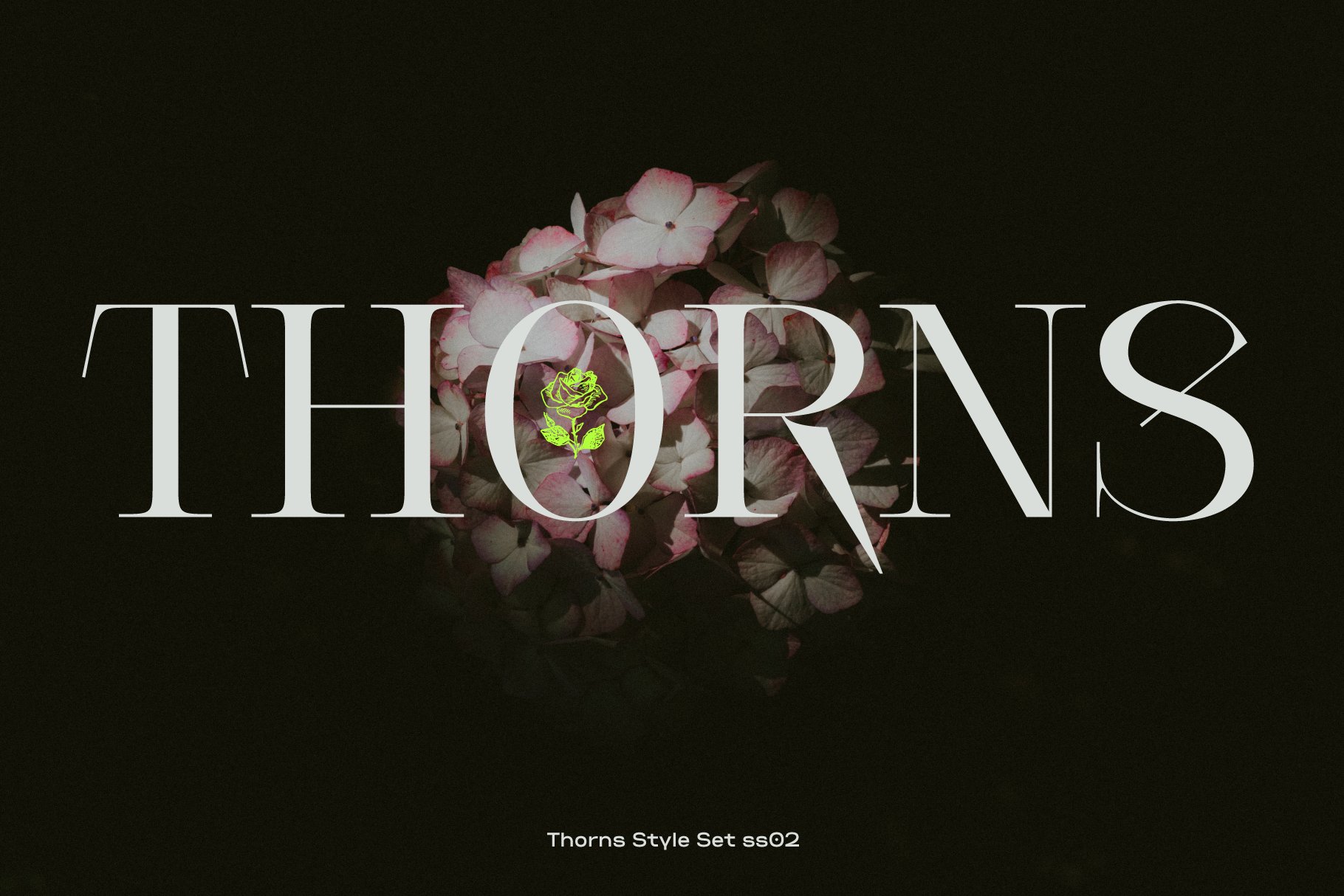 thorns 416