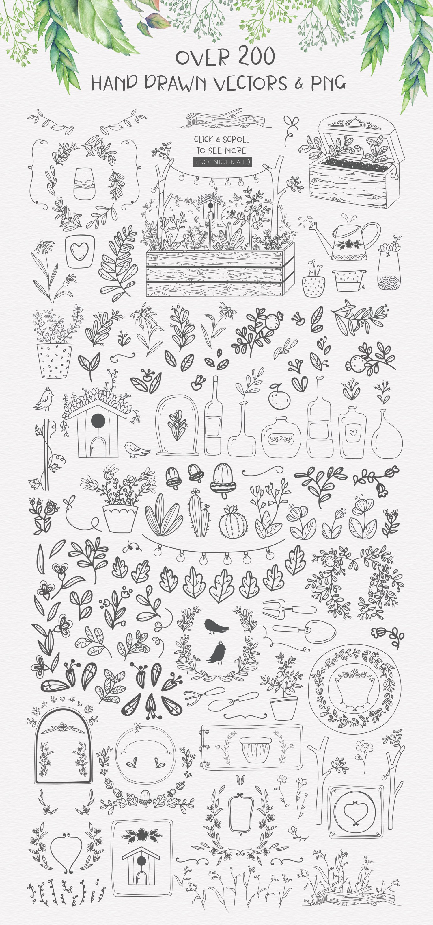 Drawing of a bunch of flowers and plants.