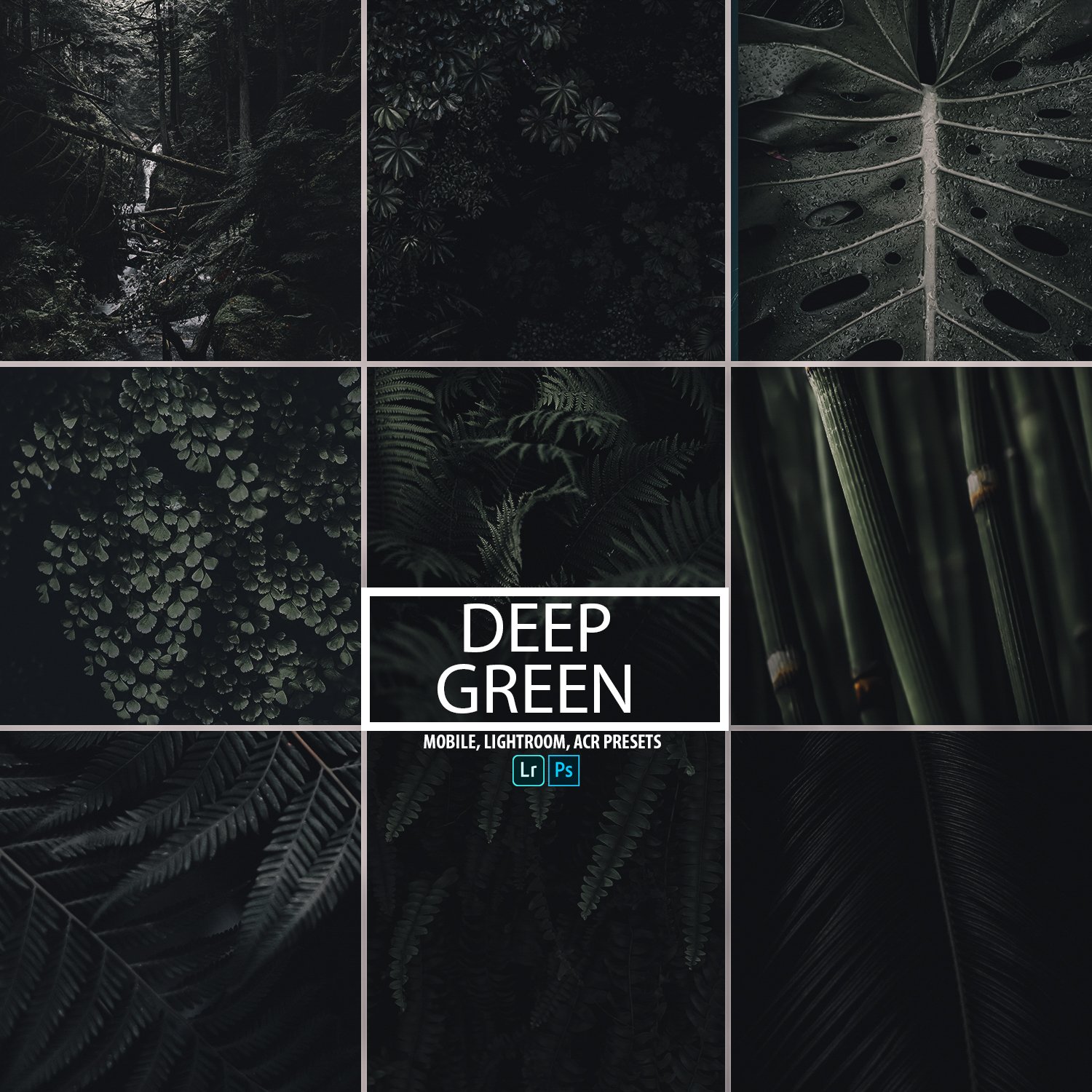 Deep Green Presetcover image.