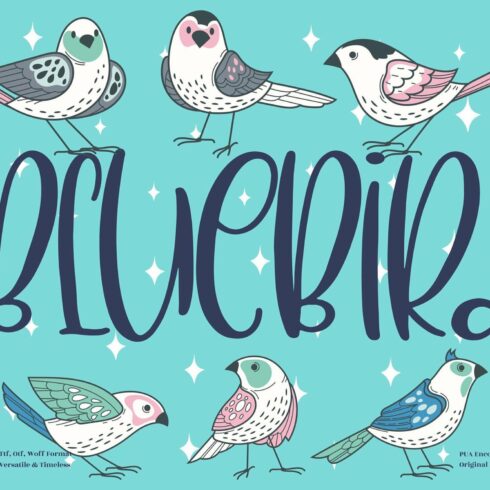 BlueBird Quirky LS cover image.