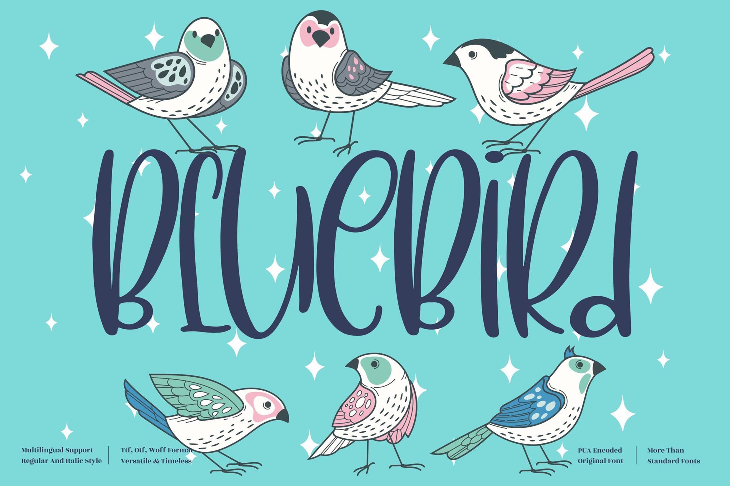 BlueBird Quirky LS cover image.