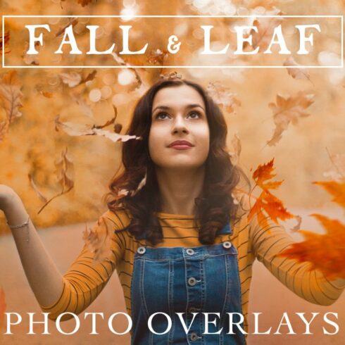 70 Natural Falling Leaf Overlayscover image.