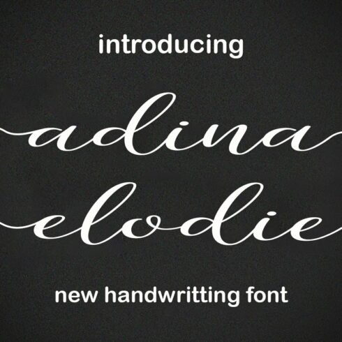 Adina Elodie Font Script cover image.