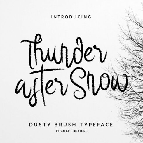 Thunder After Snow Brush Font cover image.