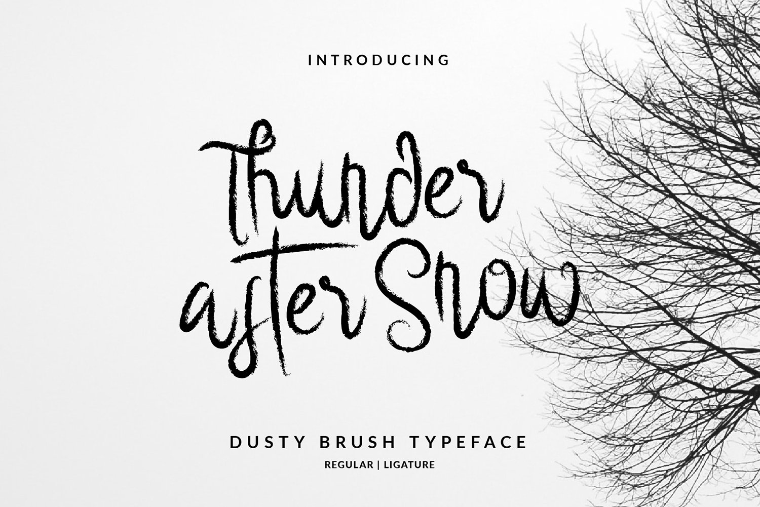 Thunder After Snow Brush Font cover image.