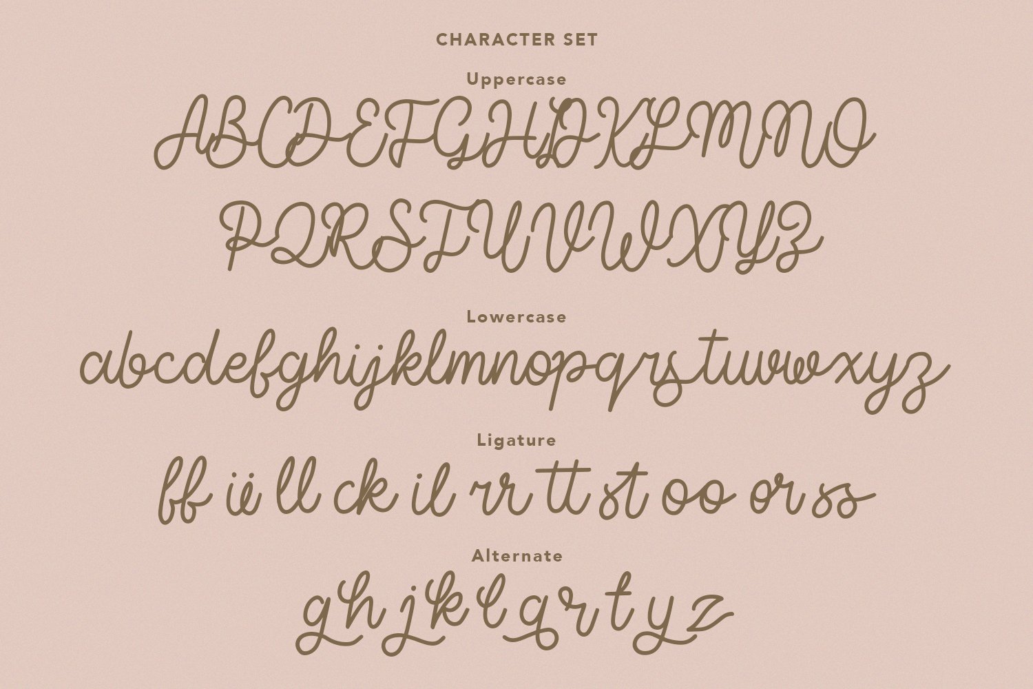 tiffanky monoline cursive font 7 505