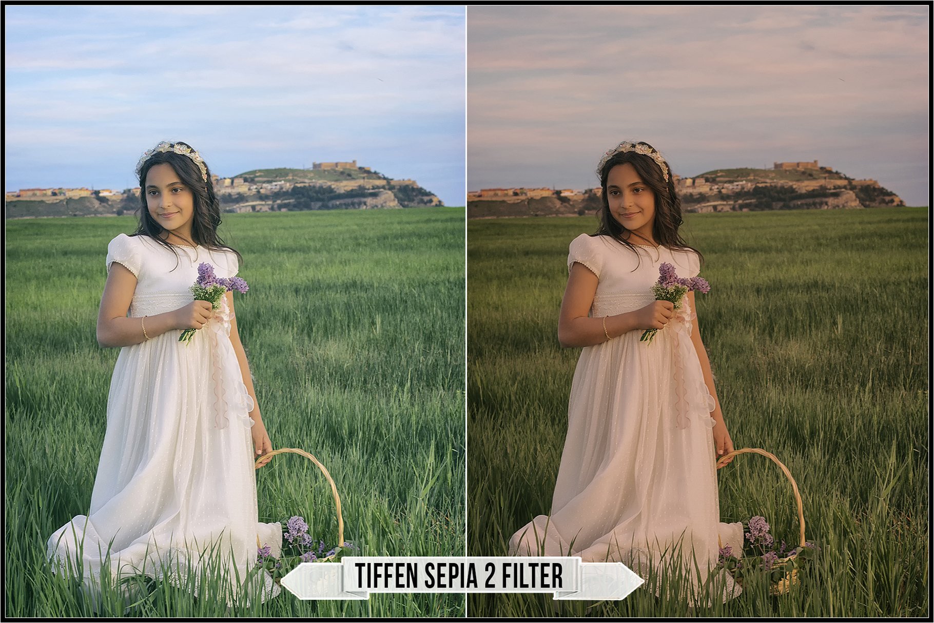 tiffen sepia 2 738