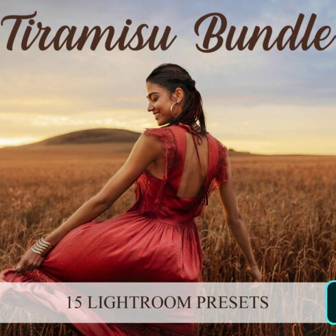 Lightroom Presets - Tiramisucover image.