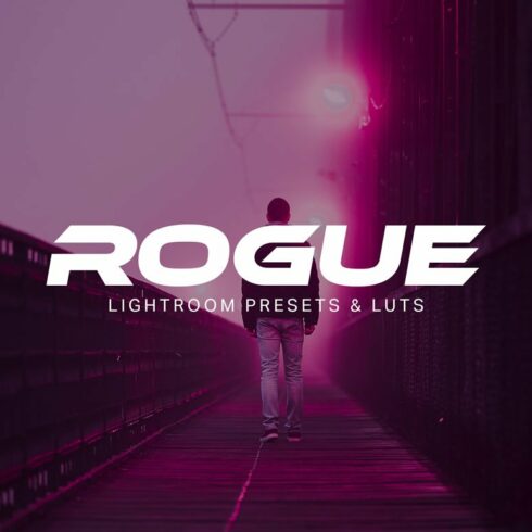 Rogue - Lightroom Presets and LUTscover image.