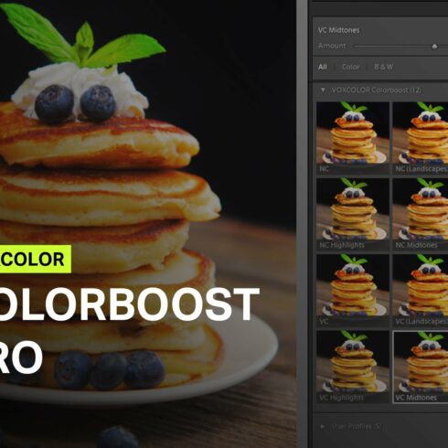 Colorboost Pro Lightroom Profilescover image.