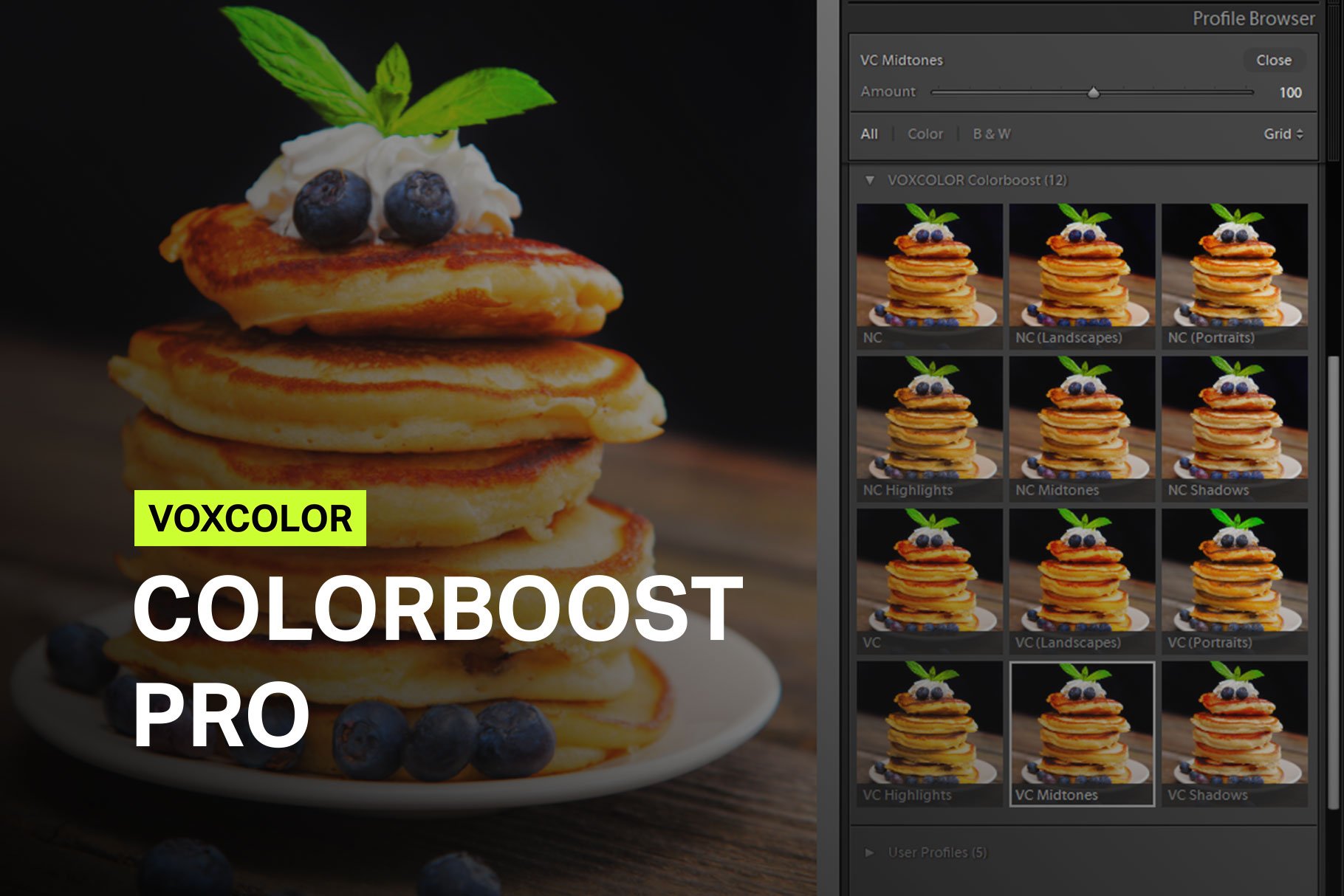 Colorboost Pro Lightroom Profilescover image.