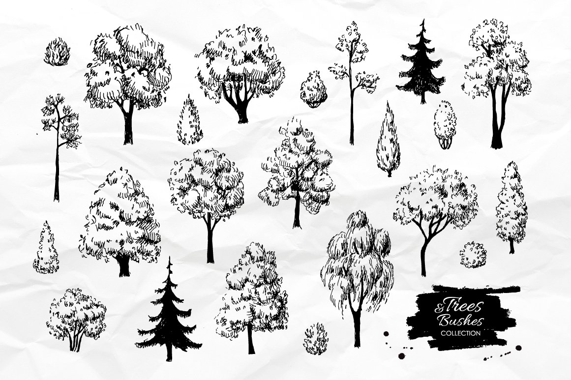 Bunch of trees drawn on a piece of paper.