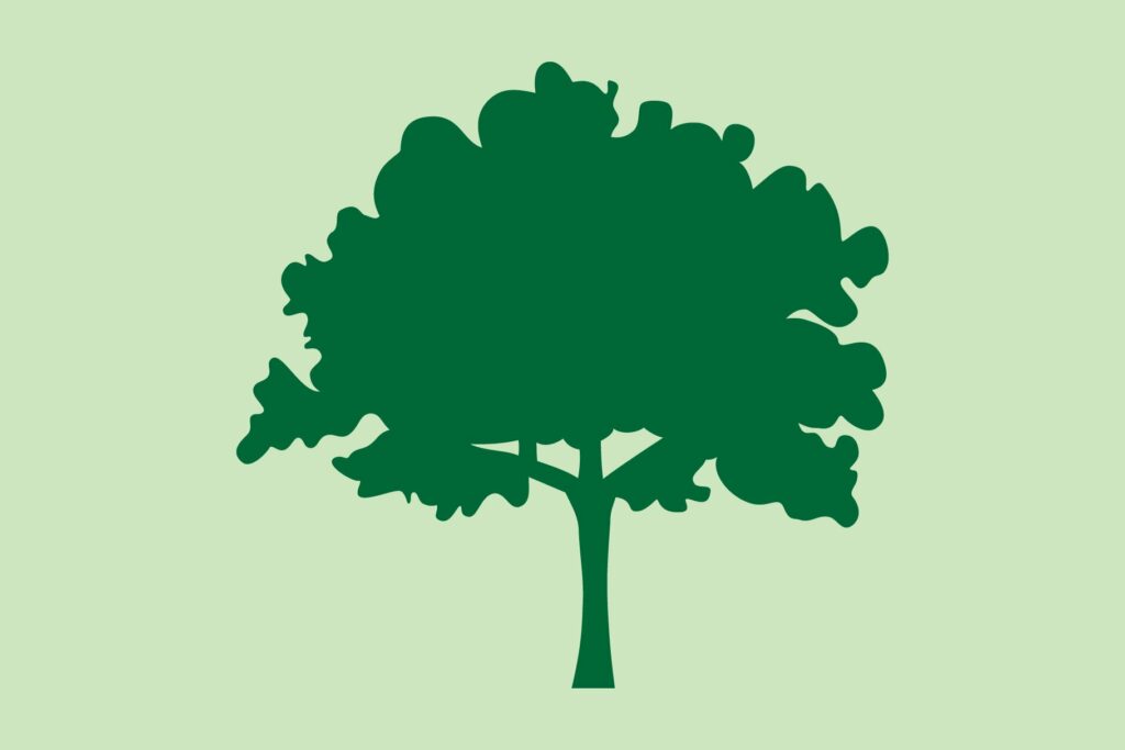 Flont Tree Tree Assortment Font – MasterBundles
