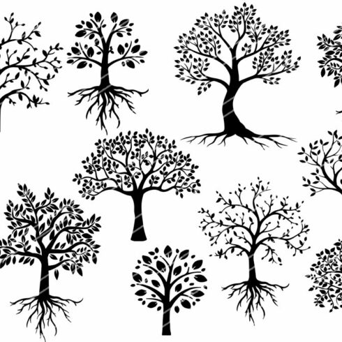 Set of tree silhouettes with roots.