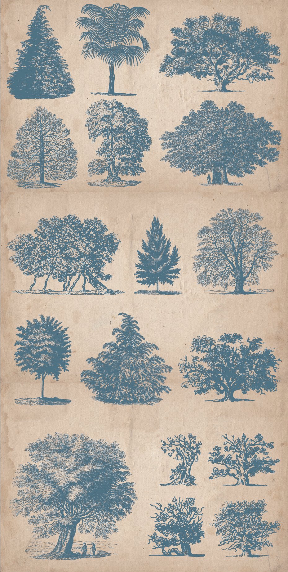 Bunch of trees that are drawn on a piece of paper.