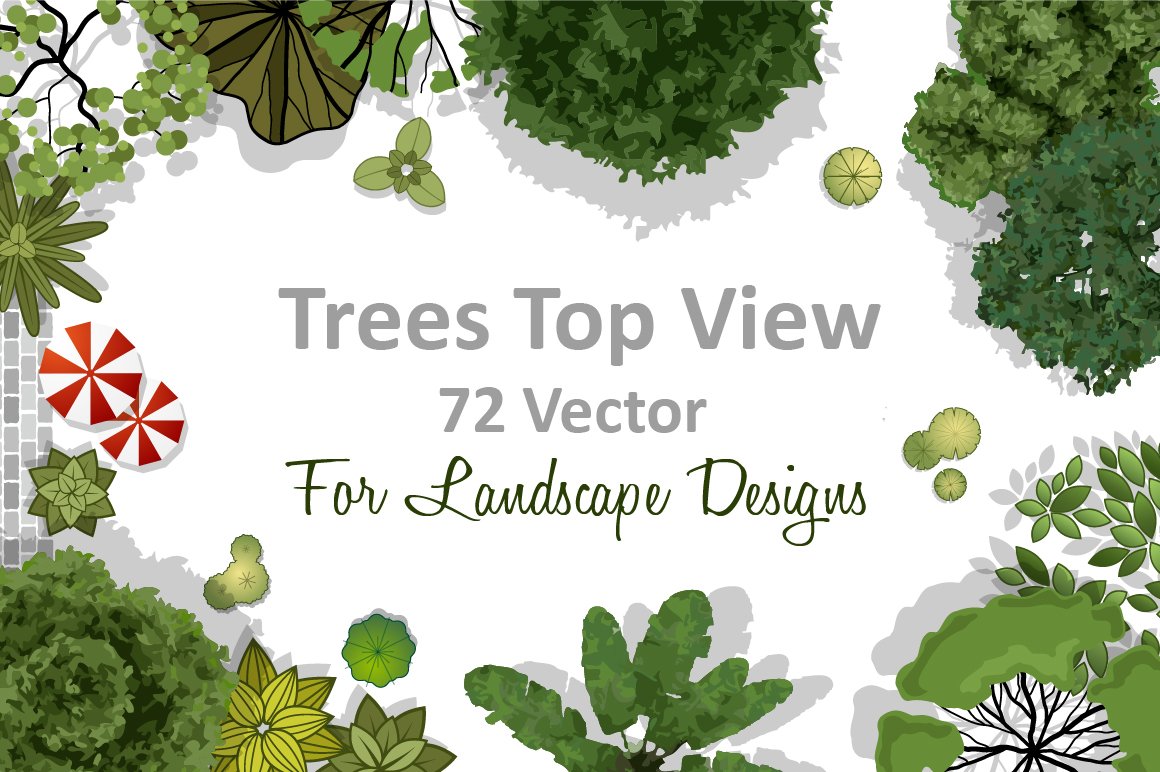 72 Vector Trees Top View cover image.