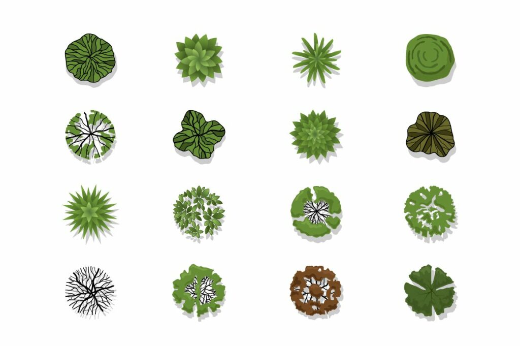 72 Vector Trees Top View – MasterBundles