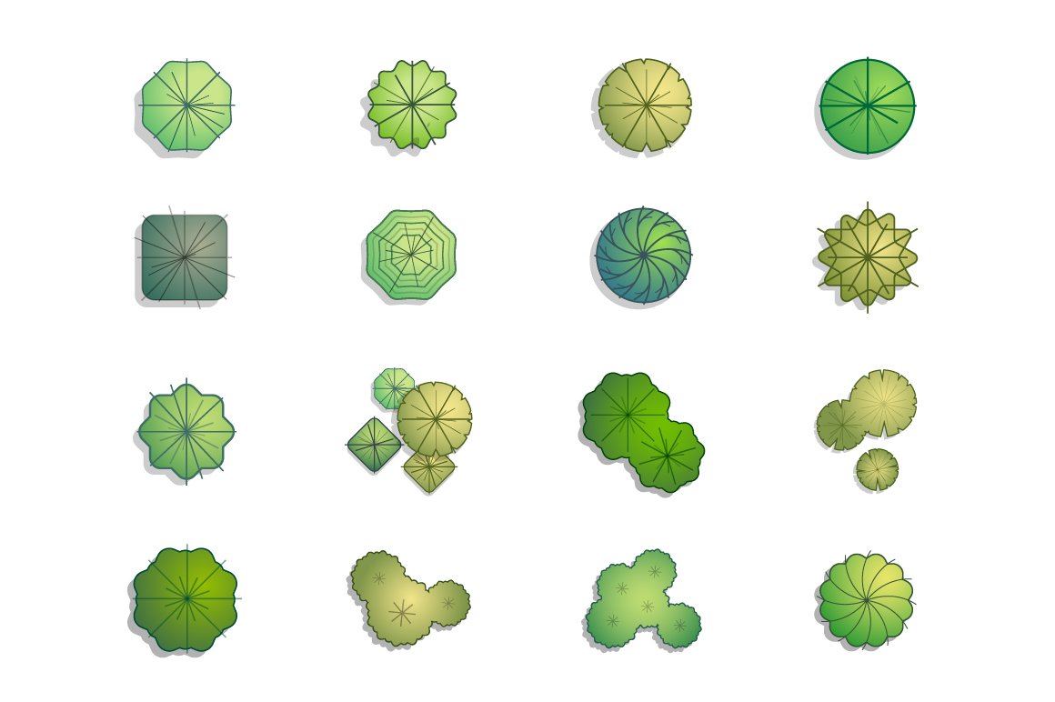 Collection of different shapes and sizes of plants.