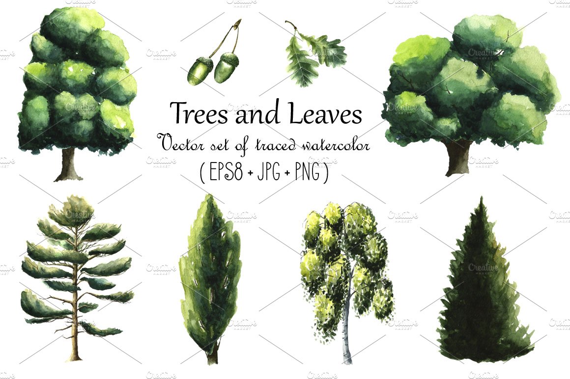 Watercolor trees. cover image.