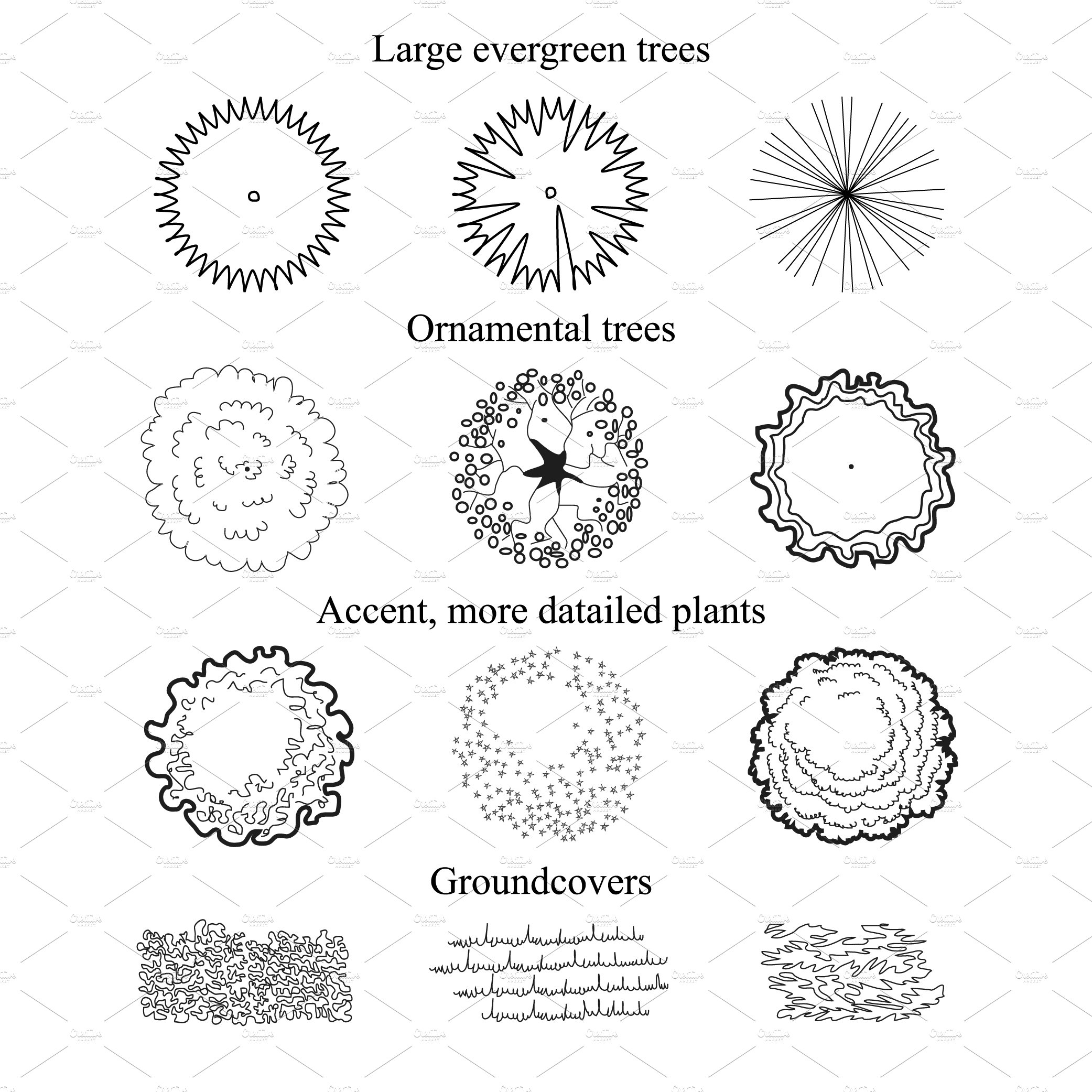 Bunch of different types of trees.