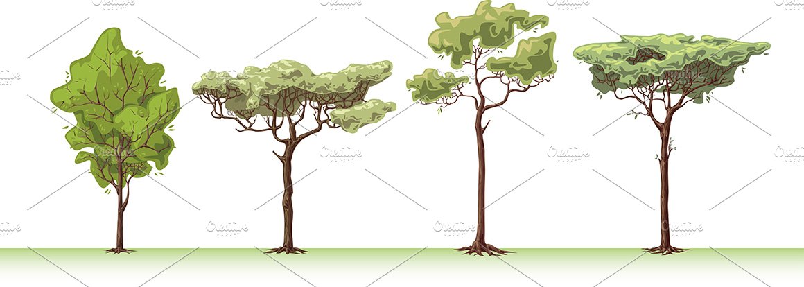 Set of trees with different types of leaves.
