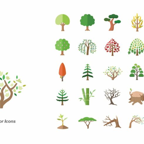 Collection of trees with different types of leaves.