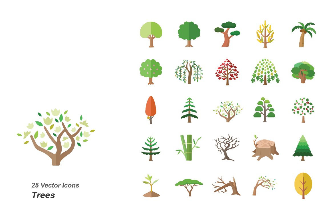 Collection of trees with different types of leaves.