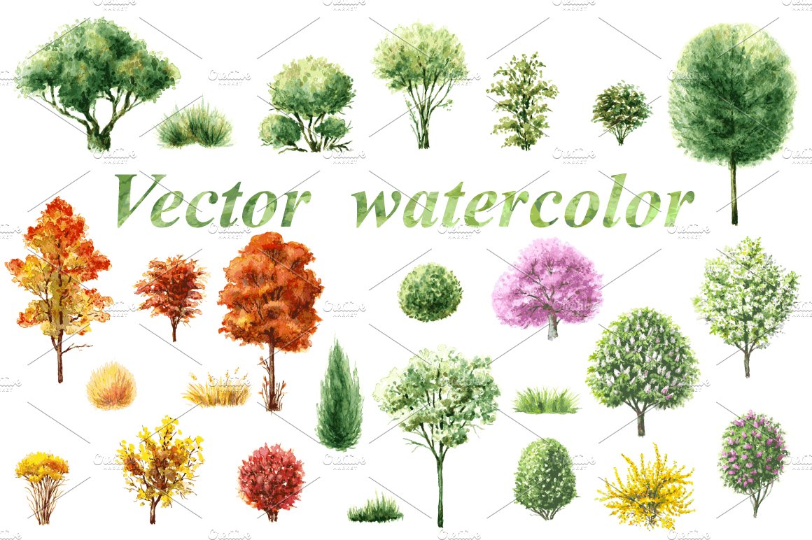 Watercolor trees and shrubs.
